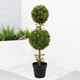 Gardenwize Solar Double Bay Ball Tree in Pot