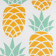Gardenwize Outdoor Pair of Pineapple Cushions