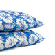 Gardenwize Blue Hawaiian Pattern Pair Of Scatter Cushions