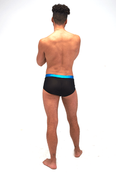 Mercury Sheer Rear Briefs