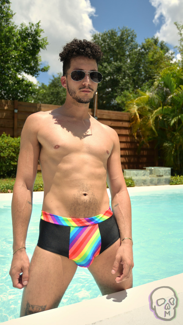Panel Front Brief