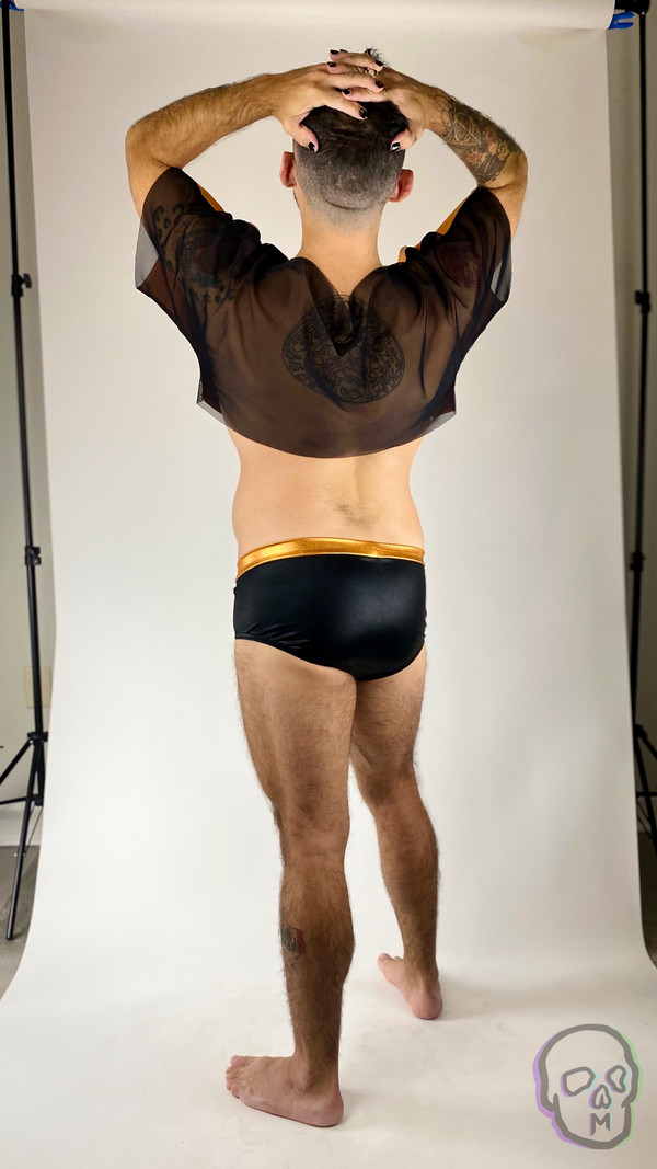 Panel Front Brief