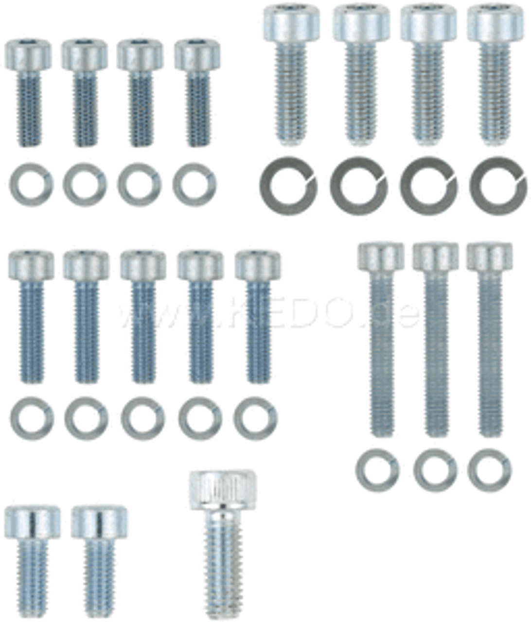 Carburretor Allen Screw Kit, 35pcs SR500 -'89