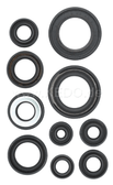 Engine Oil Seals Complete Kit, 10 Pieces XT550, SRX600, XT600/Z/K, XT600E-'95, TT600S/E/R/RE