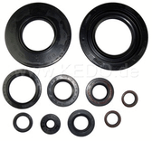 Oil seal kit SR500 Engine Complete