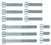 Allen Screw Set for Cylinder and Head SR500 TT500 XT500 8.8, Zinc Coated