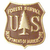 Forest Service Brown and Gold Enamel Pin