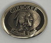 Cherokee National Forest Buckle