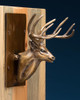 Whitetail Run (door knocker)