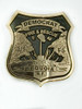 Democrat Fire and Rescue E-46 Buckle (RESTRICTED)