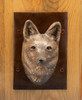 Coyote Crossing (door knocker)