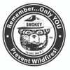 Smokey Bear Sticker 