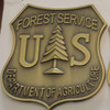 Forest Service Brass Plated Shield Medallion (XLarge)