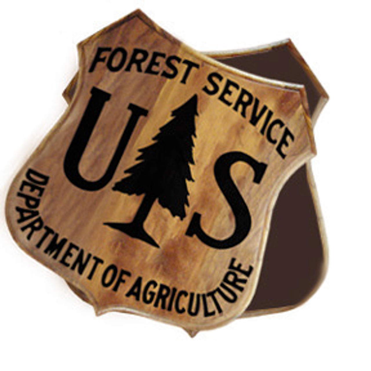 Forest Service Shield Shaped Box - Walnut