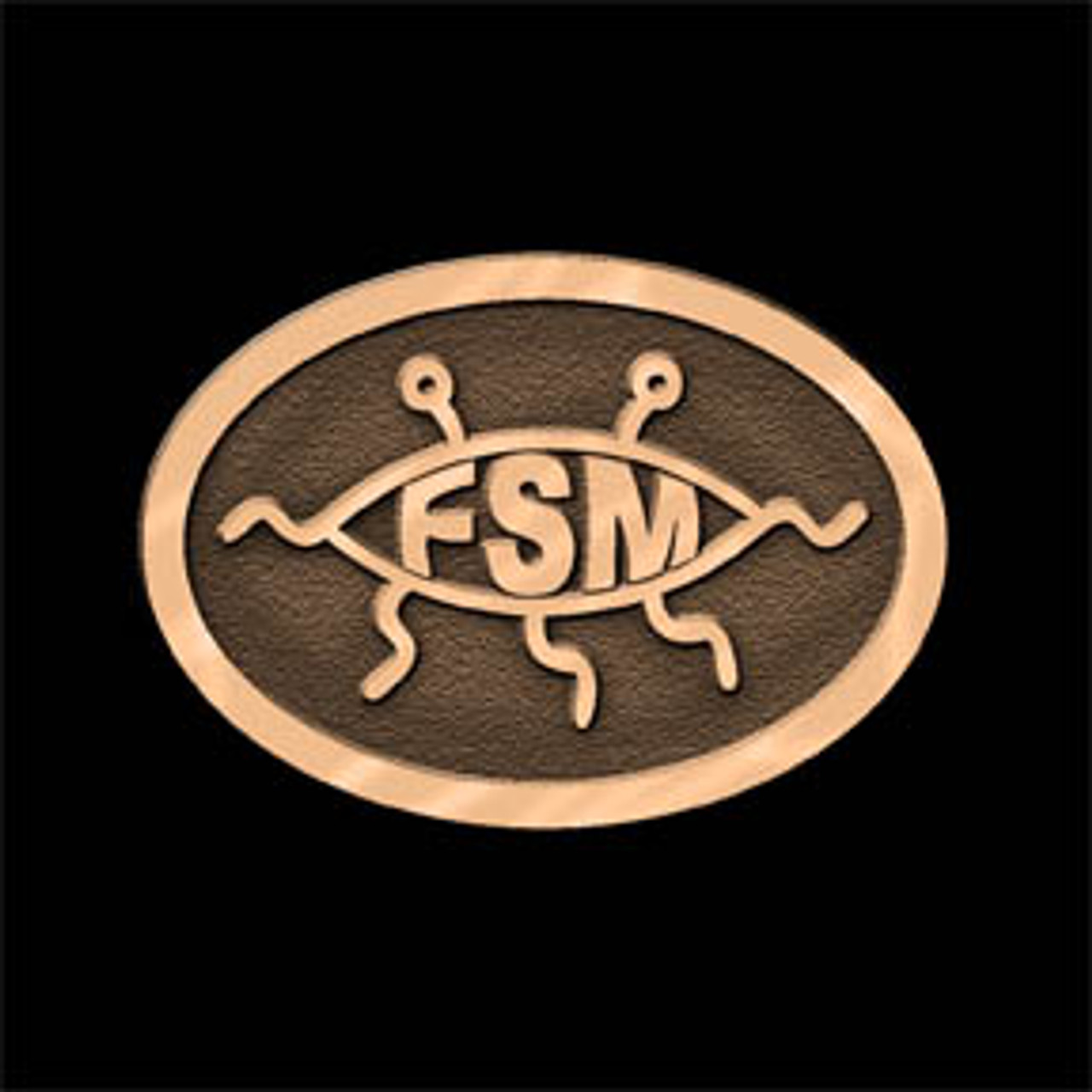 FSM Buckle