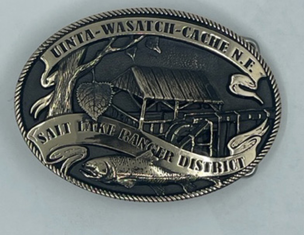 Uinta-Wasatch-Cache National Forest Salt Lake Ranger District Buckle