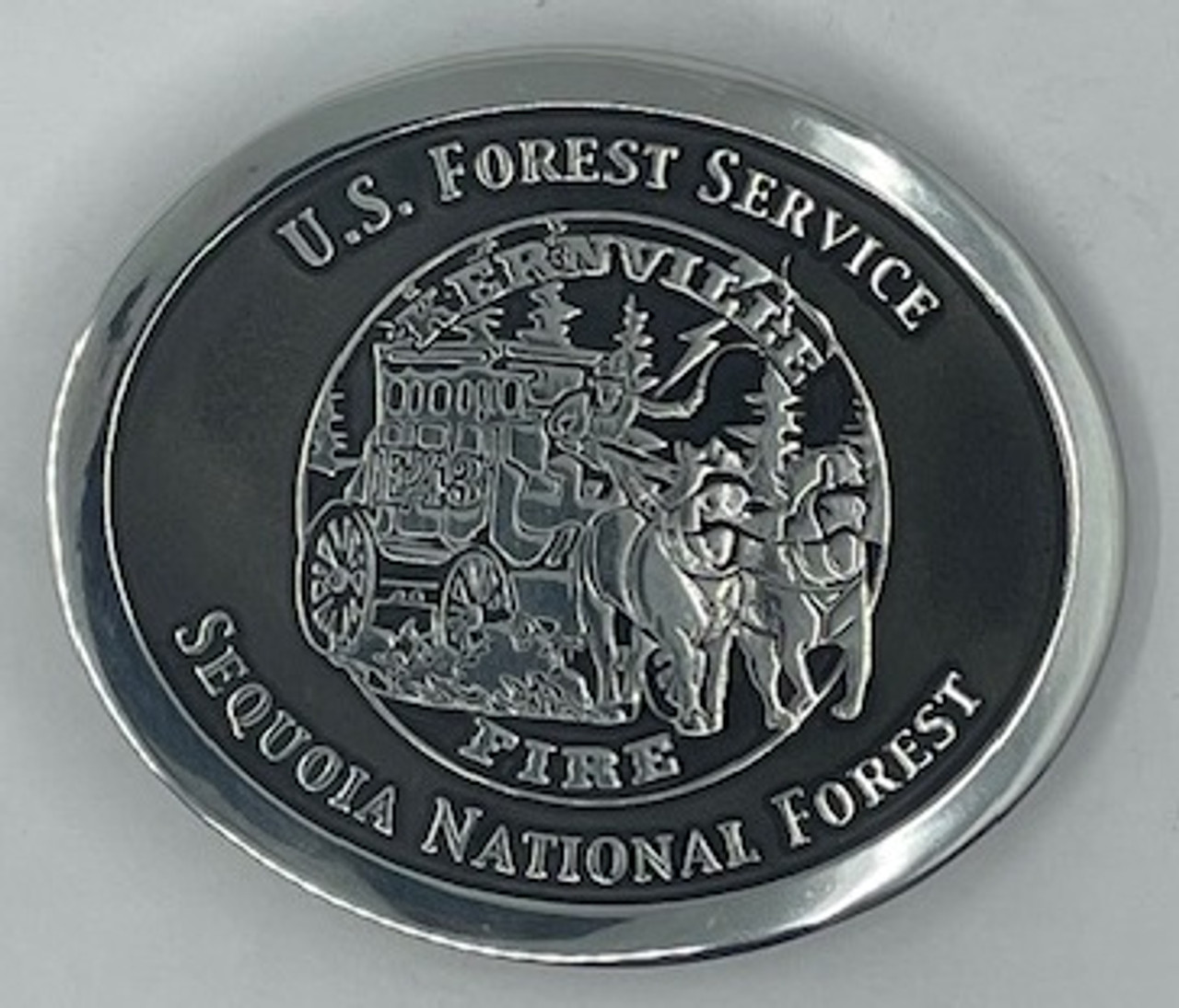 Kernville Fire Sequoia National Forest Buckle (RESTRICTED)