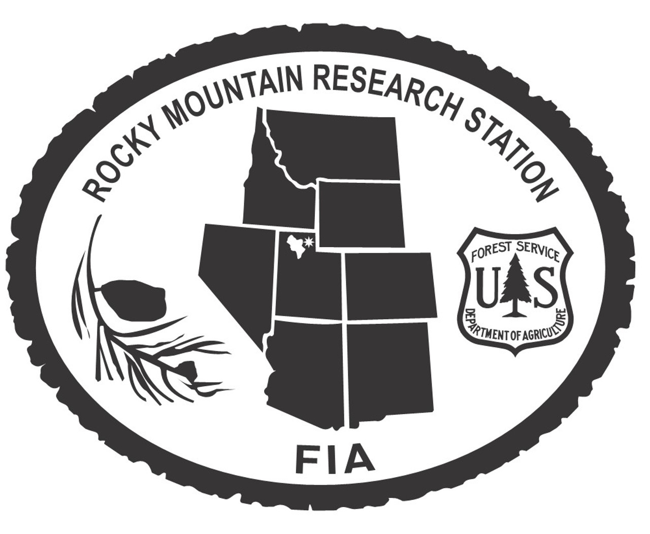 Rocky Mountain Research Station FIA Buckle