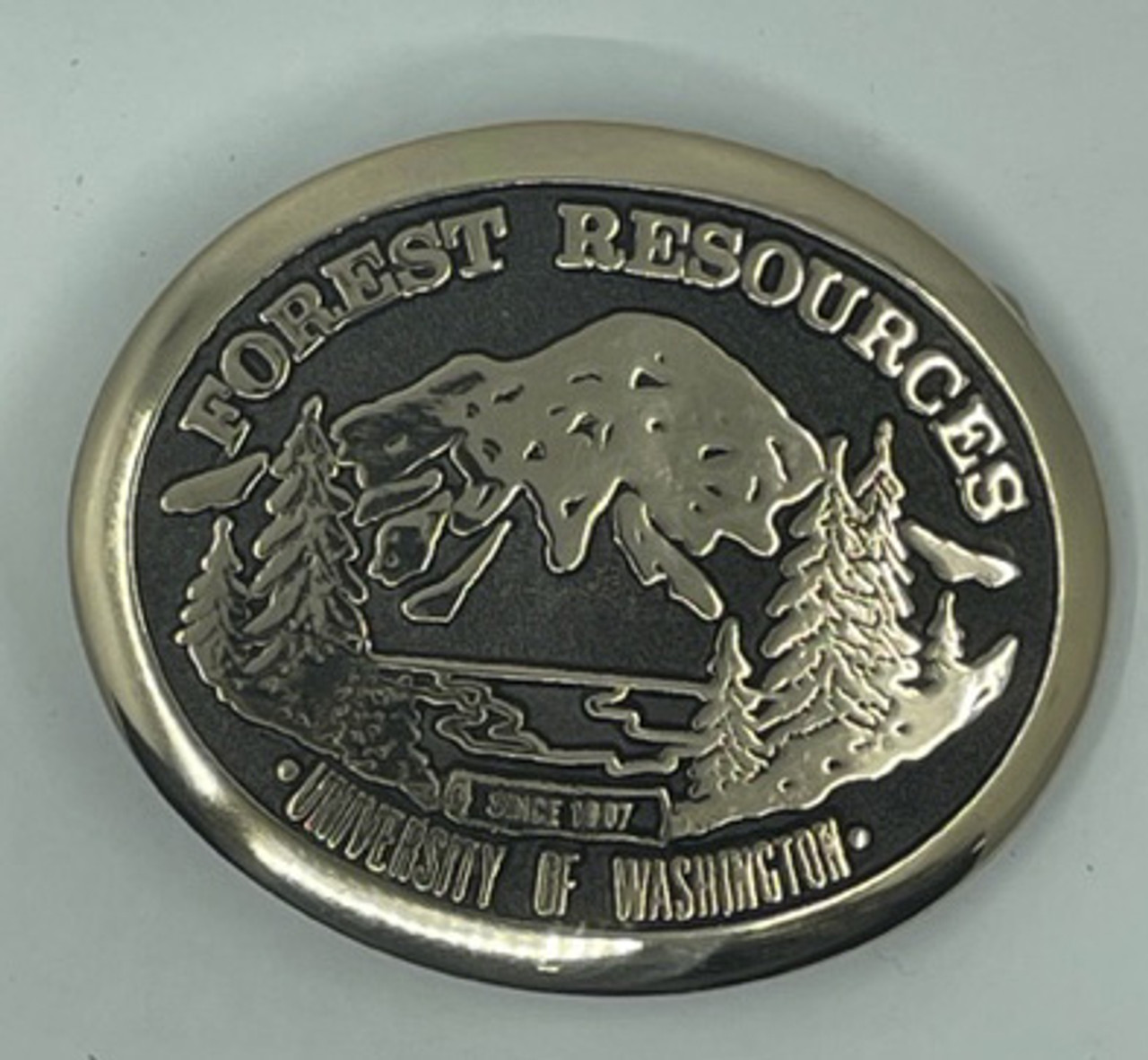 University of Washington Forest Resources Buckle