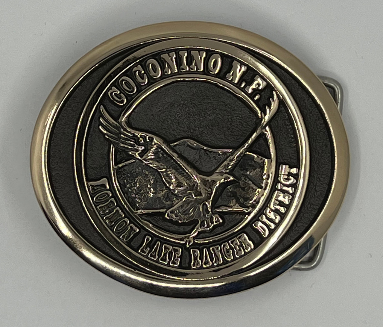 Coconino National Forest Mormon Lake Ranger District Buckle