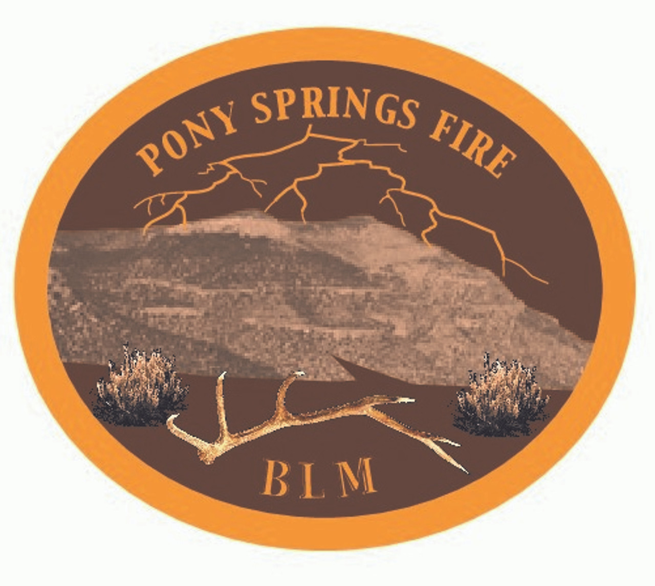 Pony Springs Fire BLM Buckle (RESTRICTED)