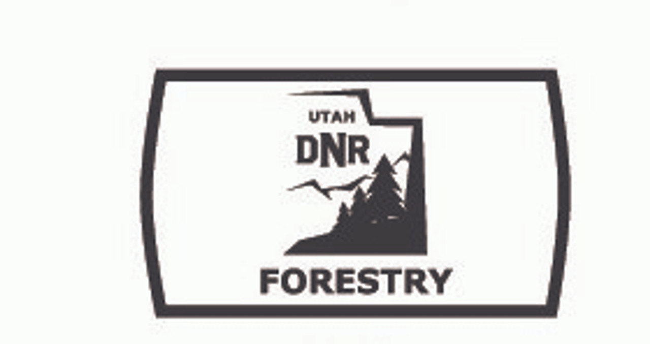 Utah Forestry Buckle (RESTRICTED)