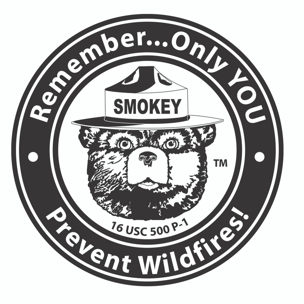Smokey Bear Sticker 