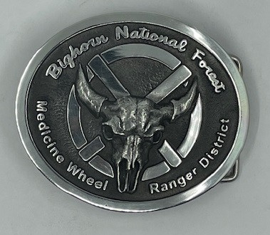 Silver Alloy