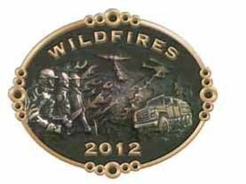 Wildfires 2012 Buckle