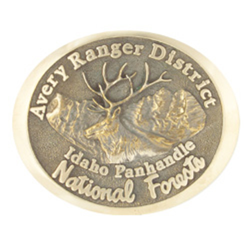 Avery Ranger District Buckle