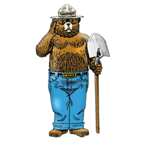 Smokey Bear Standing Enamel Pin