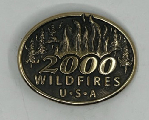 Wildfires 2000 Buckle