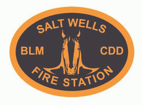 Salt Wells Fire Station Buckle (RESTRICTED)