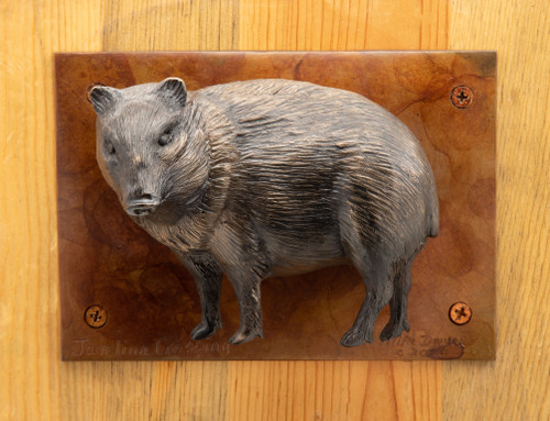 Javelina Crossing (door knocker)