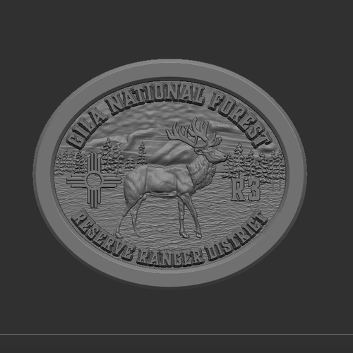 Reserve Ranger District Gila National Forest Buckle (RESTRICTED)
