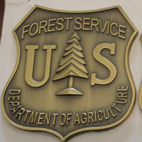 Forest Service Brass Plated Shield Medallion (XLarge)