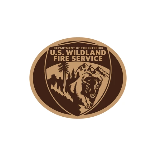 US Wildland Fire Service Buckle 