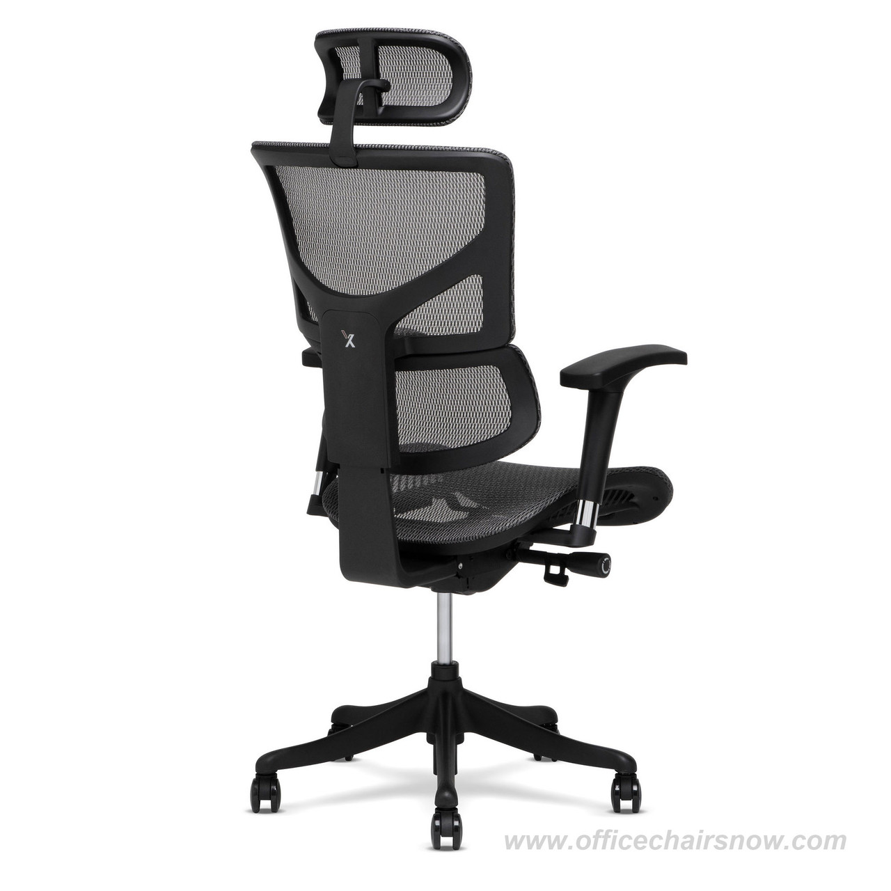 X-Chair X1 High End Task Chair, Black Flex Mesh with Headrest - Ergonomic  Office Seat/Dynamic Variable Lumbar Support/Highly Adjustable/Relaxed