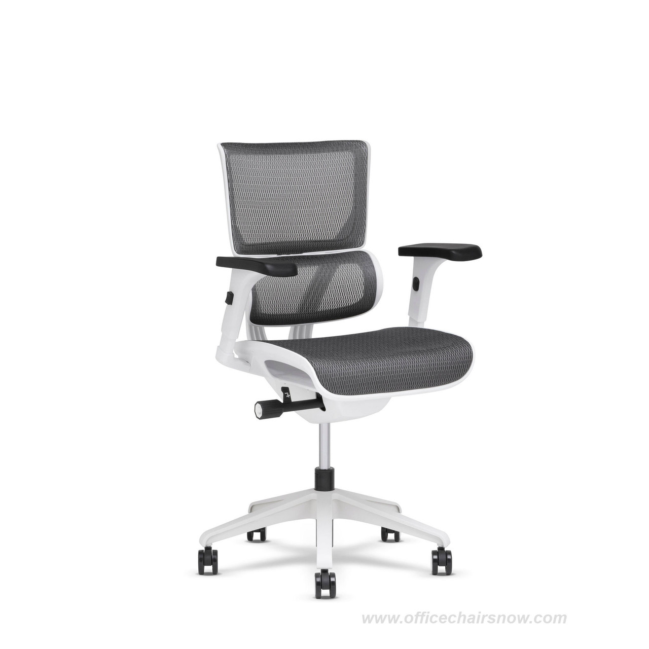 X2 & X4 Management Office Chair - 10 Ergonomic Adjustments 