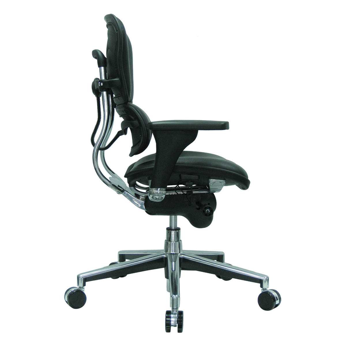 ErgoHuman Lo-Back Leather Ergonomic Executive Office Chair