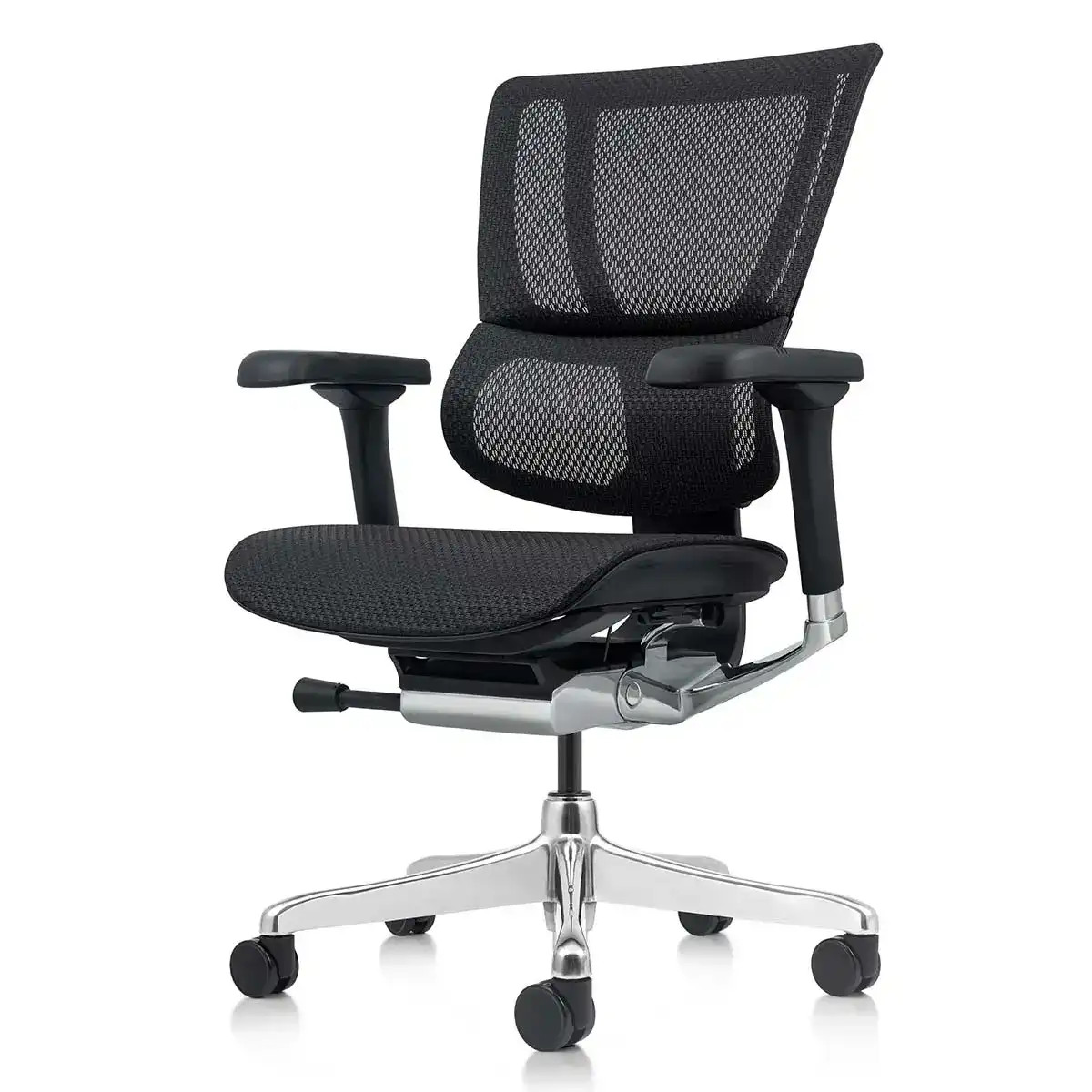 Eurotech Ergohuman Extreme High-Back Mesh Exec. Office Chair