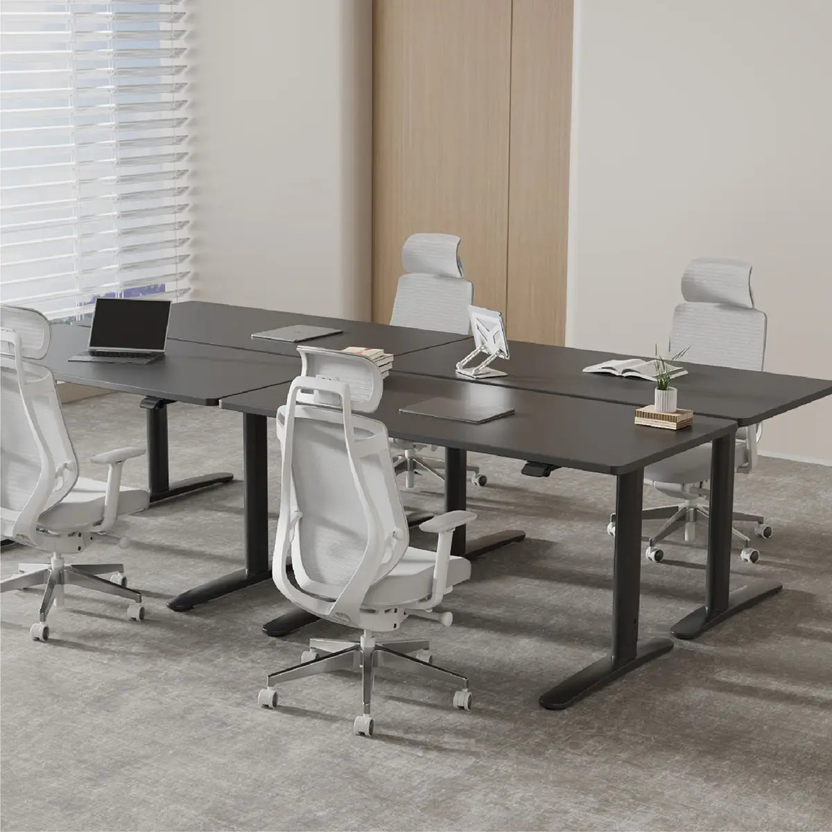Flexispot Pro 2-Stage Dual Motor Adjustable Height Desk