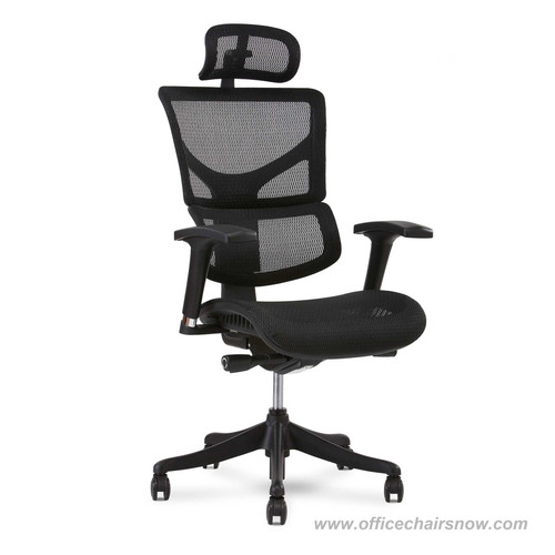 https://cdn11.bigcommerce.com/s-yl5x6uyypp/images/stencil/500x659/products/112/1723/X1-Ergonomic-Task-Chair-with-Black-or-Gray-Flex-Mesh_684__99843.1701892187.jpg?c=1