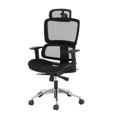 Eurotech Ergohuman GEN2 – High Back Black Mesh Office Chair with Adjustable  and Flexible Lumbar Support – Headrest, Seat Slider, Armrests, and Height