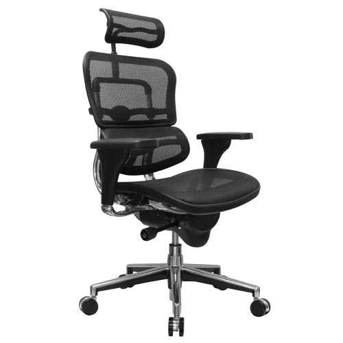 Shop Ergo Human High-Back All Mesh Executive Chair At OfficeChairsNow