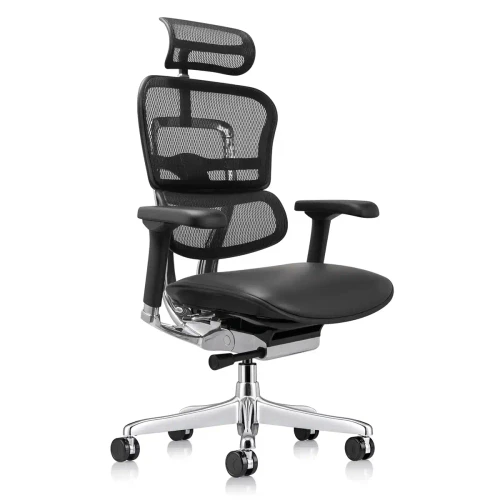 ErgoHuman GEN2 High-Back Ergonomic Leather Seat & Mesh-Back Executive Chair with Headrest
