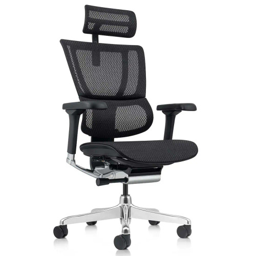 ErgoHuman Xtreme High-Back All Mesh Executive Chair with Headrest - perspective view