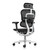 Shop ErgoHuman GEN2 High-Back All Mesh Executive Chair At OfficeChairsNow