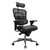 Shop ErgoHuman High-Back Ergonomic Leather Seat & Mesh-Back Executive Chair with Headrest At OfficeChairsNow