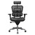 Shop ErgoHuman High-Back Ergonomic Leather Seat & Mesh-Back Executive Chair with Headrest At OfficeChairsNow